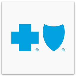 Blue Cross Blue Shield